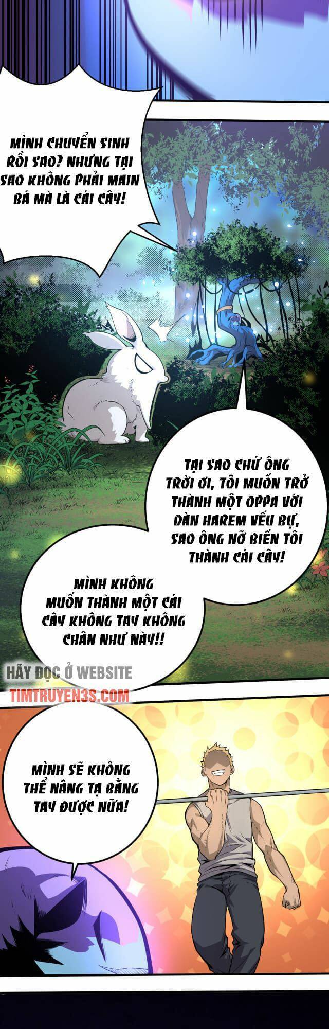 Chuyển Sinh Thành Liễu Đột Biến - Chapter 1