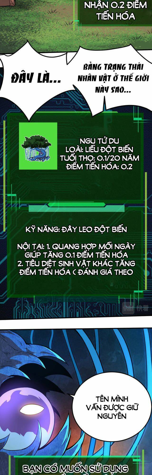 Chuyển Sinh Thành Liễu Đột Biến - Chapter 1