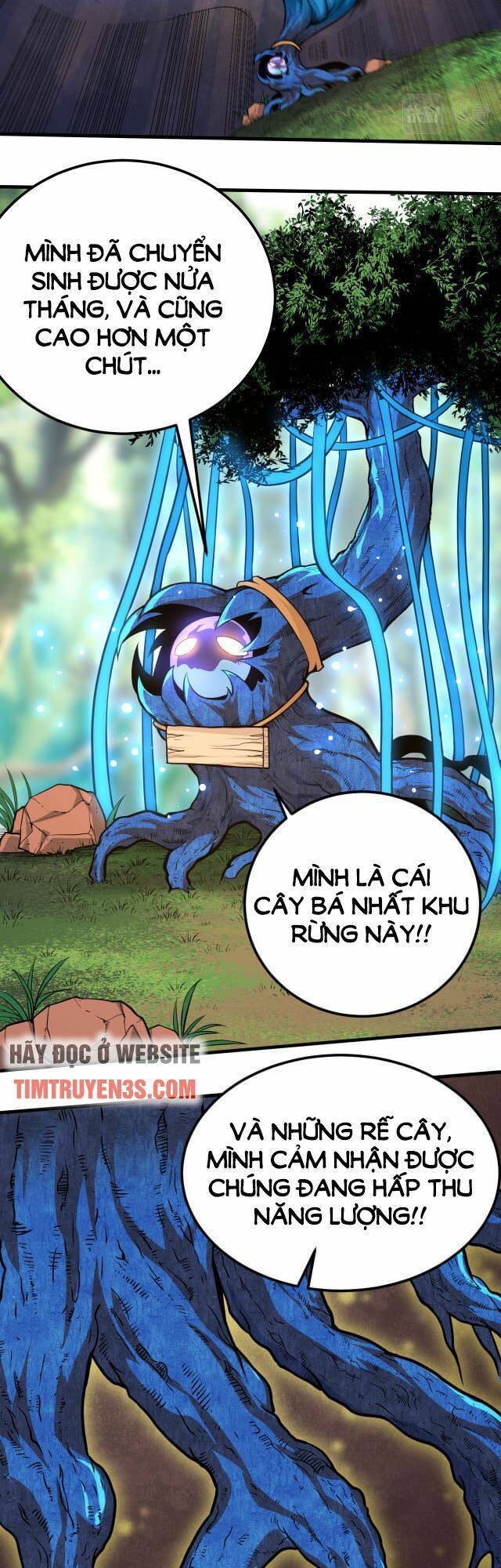 Chuyển Sinh Thành Liễu Đột Biến - Chapter 1
