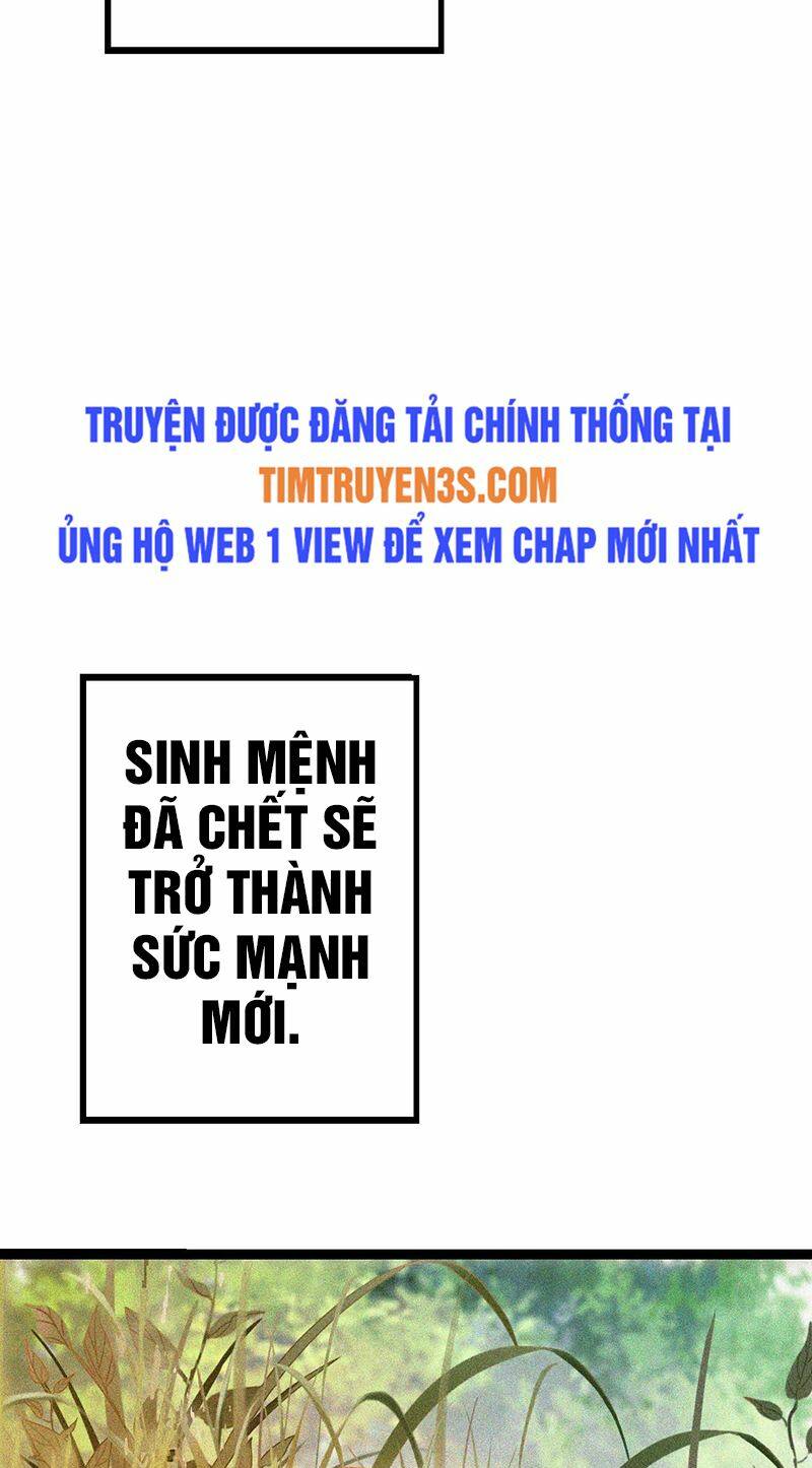 Chuyển Sinh Thành Liễu Đột Biến - Chapter 13