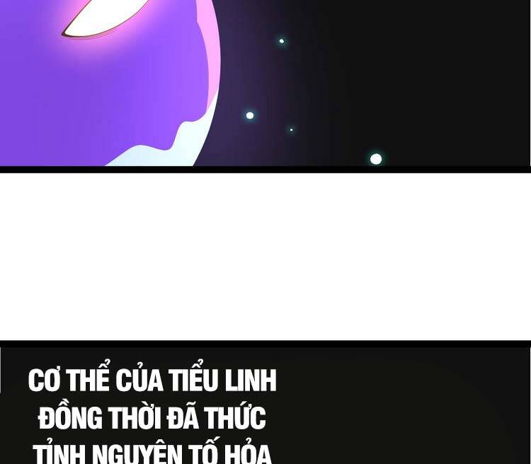 Chuyển Sinh Thành Liễu Đột Biến - Chapter 20